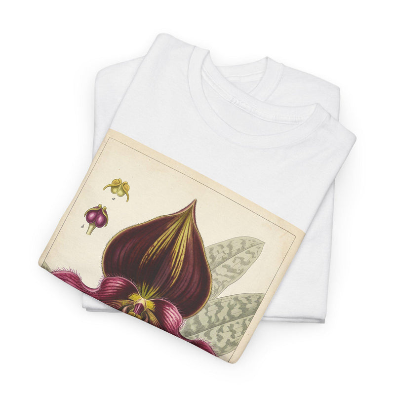 Vintage Botanical Orchid Illustration Paphiopedilum rungsuriyanum | Lady's Slipper Floral Shirt