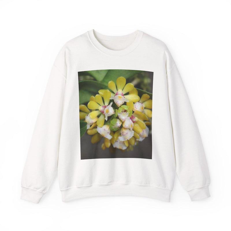Floral Cluster Sweatshirt Yellow Hoya Blossom Crewneck
