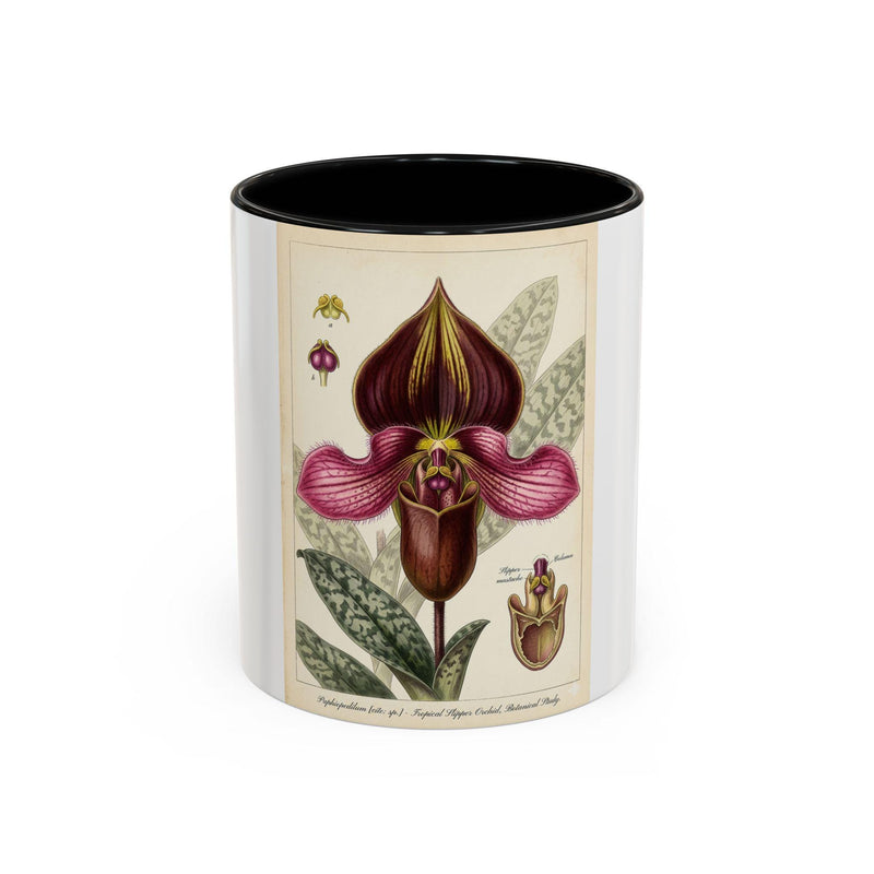 Paphiopedilum rungsuriyanum Victorian Botanical Orchid Illustration Mug | Accent Coffee Mug 11oz 15oz