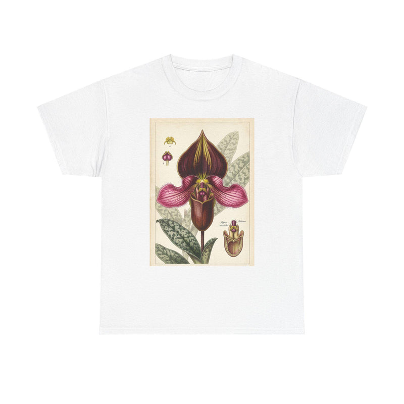 Vintage Botanical Orchid Illustration Paphiopedilum rungsuriyanum | Lady's Slipper Floral Shirt