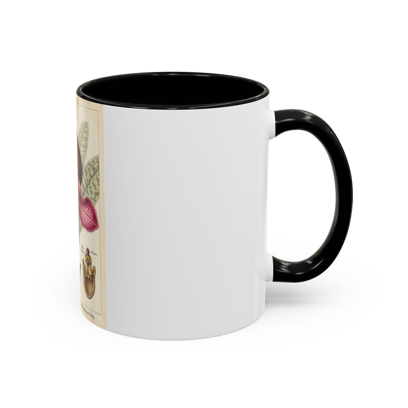 Paphiopedilum rungsuriyanum Victorian Botanical Orchid Illustration Mug | Accent Coffee Mug 11oz 15oz