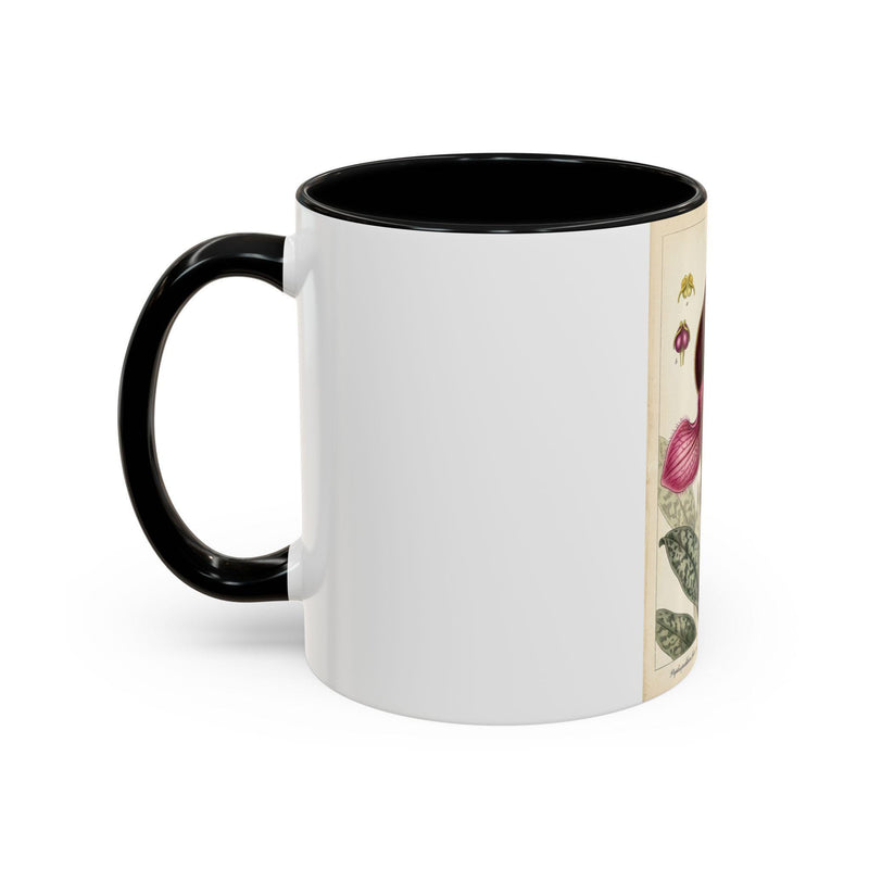 Paphiopedilum rungsuriyanum Victorian Botanical Orchid Illustration Mug | Accent Coffee Mug 11oz 15oz