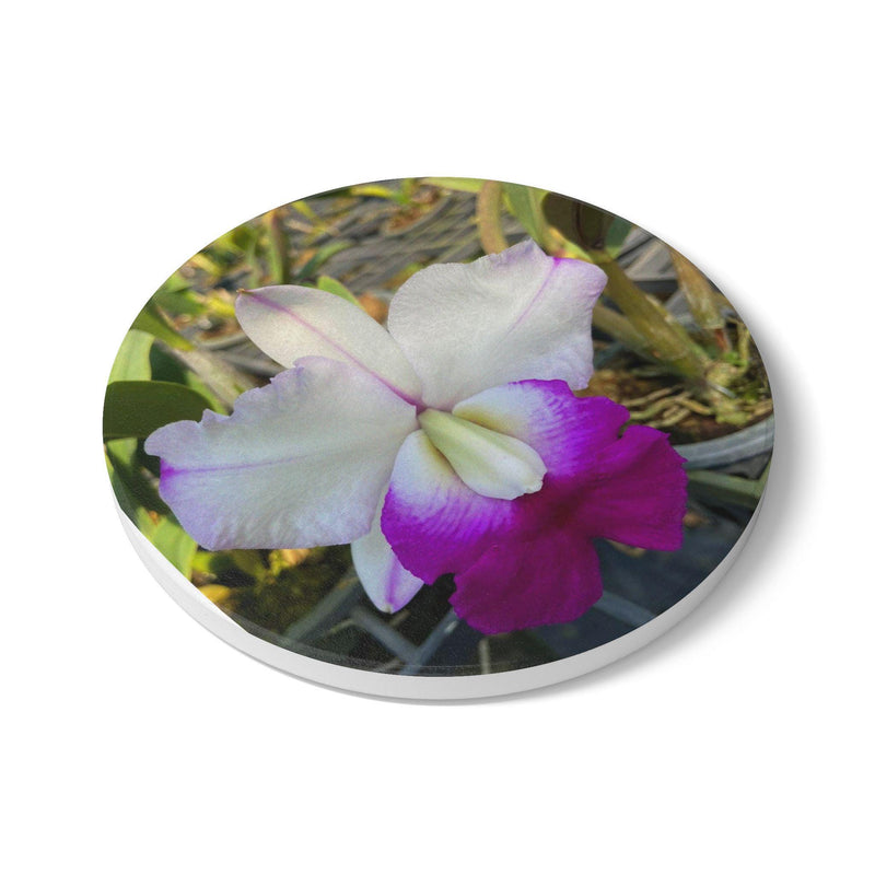 Purple and White Orchid Ceramic Coaster | Floral Plant Photography Cattleya Pink-Purple white