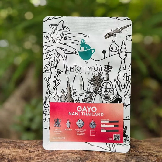 Gayo Nan Thailand (Washed)